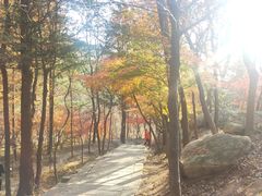 -崂山巨峰游览区