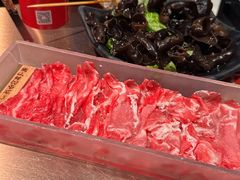 -辣伍鲜毛肚老火锅(元一店)
