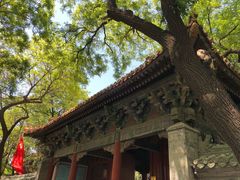-北京国子监胡同