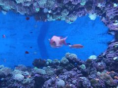 -成都浩海立方海洋公园