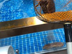 水产区-七鲜超市(通州ONE店)