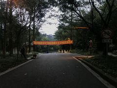 -峨眉山报国寺