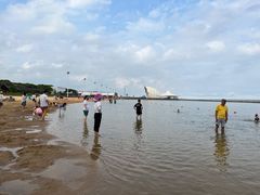 -碧海金沙