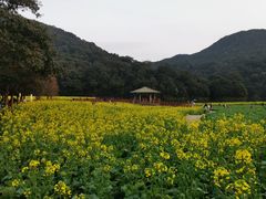 -广州市石门国家森林公园
