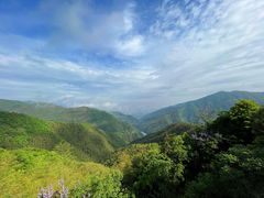 -四明山国家森林公园