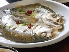 太湖白鱼-美味之家·湖景农家乐(太湖东山店)