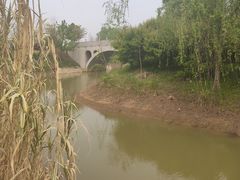 -金卉庄园