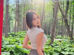 -洛阳白云山景区