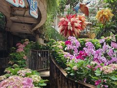 -正佳雨林生态植物园