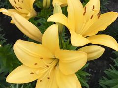 -长春公园(普阳街道)