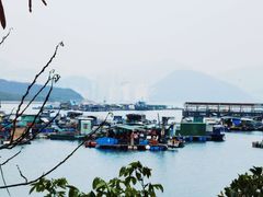 -南丫岛