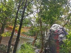 -广州市流溪河国家森林公园