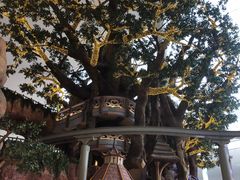 -宁波罗蒙环球乐园