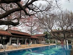 -喜洲吧·江畔老船厂·庭院餐厅(喜临院店)