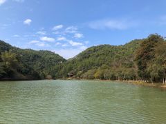 -广州白江湖森林公园