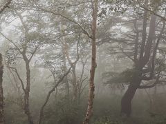 -白草畔自然风景区