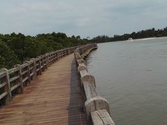 -东寨港红树林旅游区