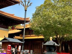 -亭林园-华藏寺