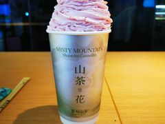 -雾与山茶(大禹城店)