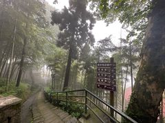 -莫干山风景区