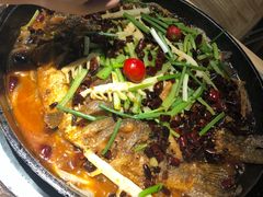 -老板恋上鱼(恒隆广场店)