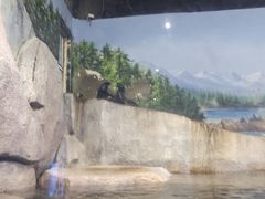 -福州罗源湾海洋世界旅游区