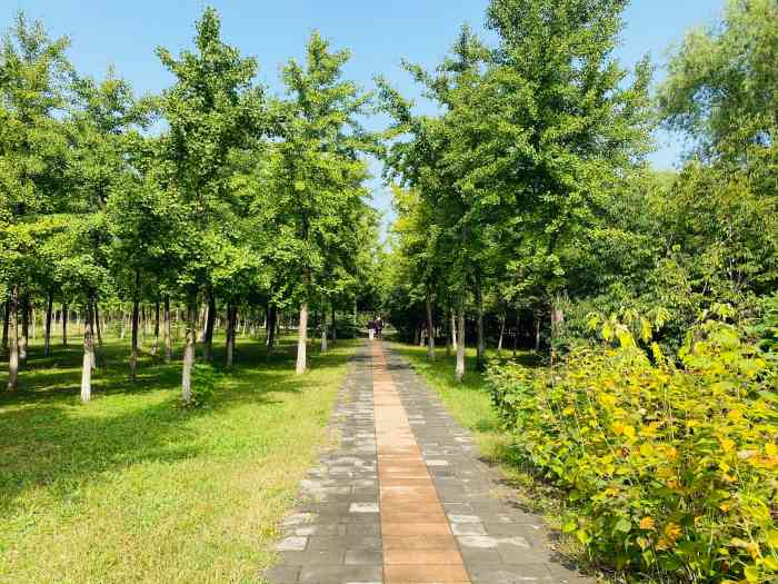 北京朝来森林公园-"在家门口的公园,来广营新北路,免费开放 .