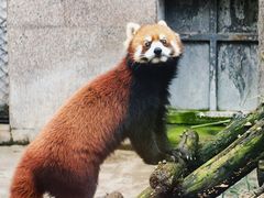-西安秦岭野生动物园