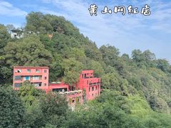 -南山植物园