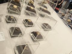 -北京周口店北京人遗址博物馆