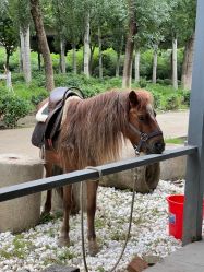 -优沃得自然教育农场·冰雪乐园·生日会·研学