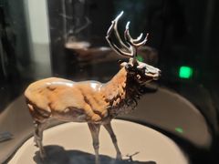 -中国湿地博物馆