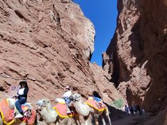 -天山神秘大峡谷