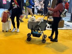 -东浩兰生上海世博展览馆