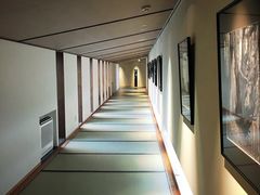 -滨千鸟之汤 海舟
