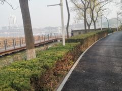 -月湖风景区