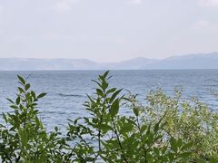 -抚仙湖禄充风景区