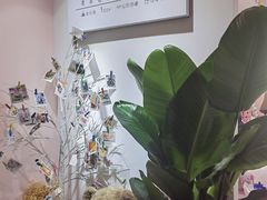 -奶油猫DIY·手工·团建·美陈搭建(宝山万达店)