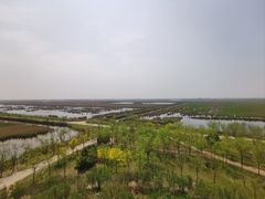 -南大港湿地风景区