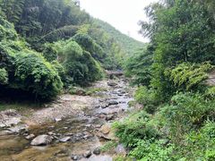 -四明山国家森林公园