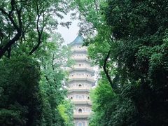 -灵谷景区