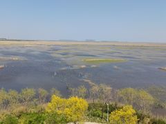 -南大港湿地风景区