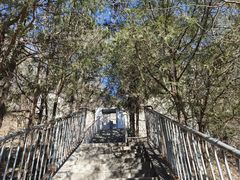 -白水寺森林公园
