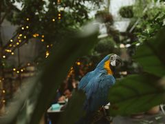 -The Grounds of Alexandria