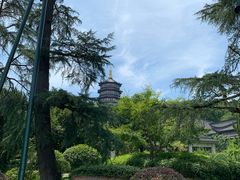 -浙江西子宾馆·牡丹厅