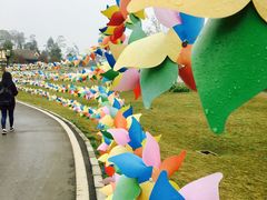 -保利石象湖景区