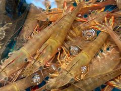 -港华水果街(港华广场店)