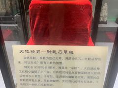 -游龙石文化科普馆