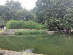 -成都市活水公园
