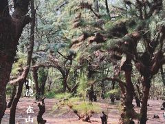 -北海金海湾红树林生态旅游区